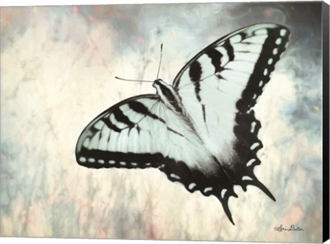 Framed Teal Butterfly II Print
