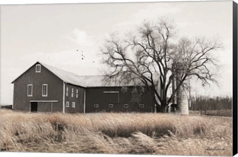 Framed Ohio Fields II Print