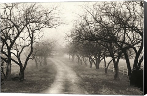 Framed Foggy Lane Print