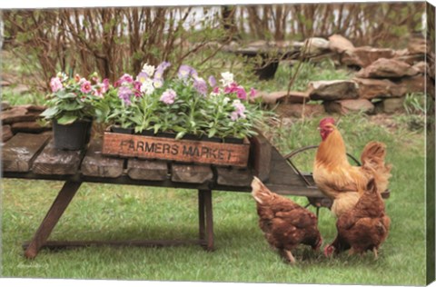 Framed Farmer&#39;s Flower Cart Print