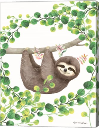 Framed Hanging Around Sloth II Print