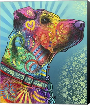 Framed Style Eyes Print