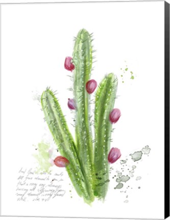 Framed Cactus Verse II Print