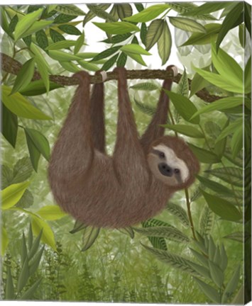 Framed Sloth Hanging Around Print