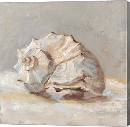 Framed Impressionist Shell Study II Print