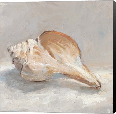 Framed Impressionist Shell Study III Print