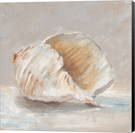 Framed Impressionist Shell Study IV Print