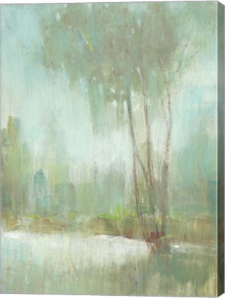 Framed Mist in the Glen II Print