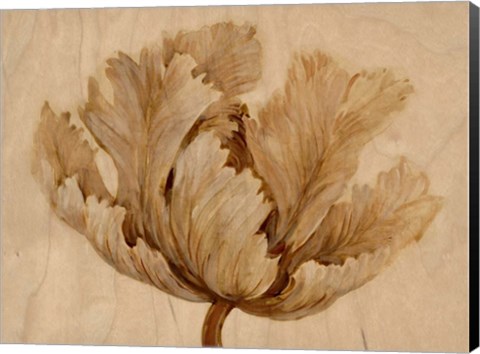 Framed Sepia Tulip on Birch I Print