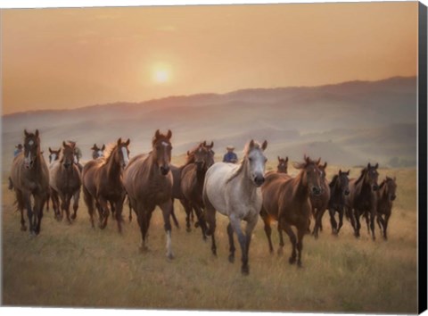 Framed Sunkissed Horses II Print