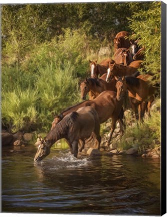 Framed River Horses I Print