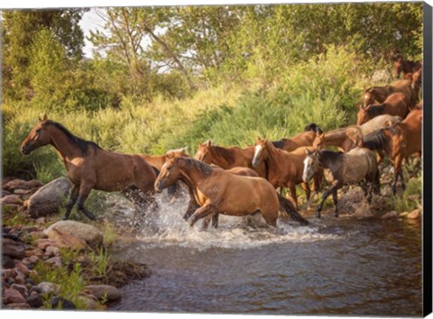 Framed River Horses II Print