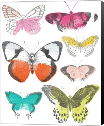 Framed Chromatic Butterflies I Print