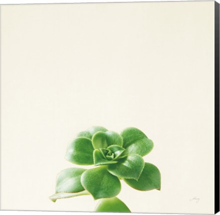 Framed Succulent Simplicity VII Neutral Print