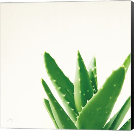 Framed Succulent Simplicity VI Neutral Print