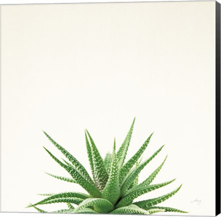 Framed Succulent Simplicity I Neutral Print