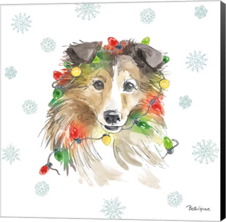 Framed Holiday Paws IX Print