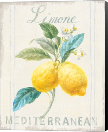 Framed Floursack Lemon III Print