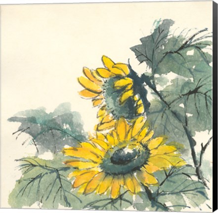 Framed Sunflower II Print