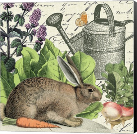 Framed Garden Rabbit I Print