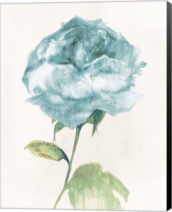 Framed Antique Floral on Cream II Blue Print