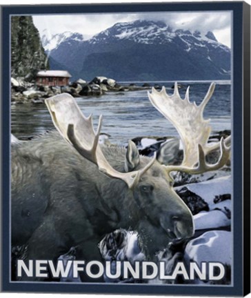Framed New Foundland Print