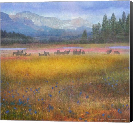 Framed Flowered Meadow Elk Print