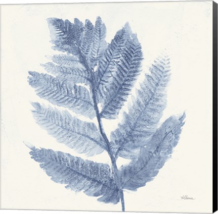 Framed Forest Ferns I Blue Print