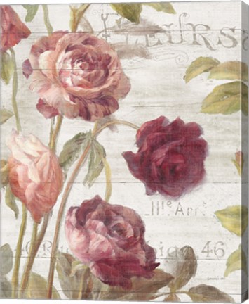 Framed French Roses II Print