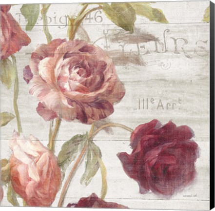 Framed French Roses IV Print