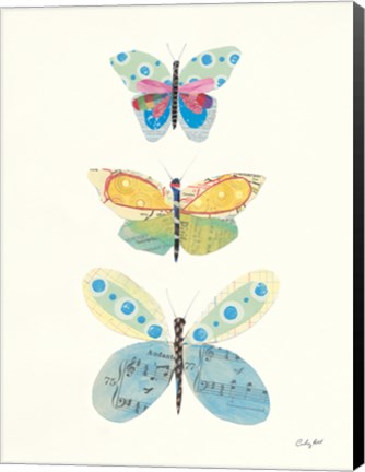 Framed Butterfly Charts IV Print