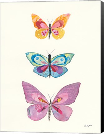 Framed Butterfly Charts III Print