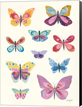 Framed Butterfly Charts II Print