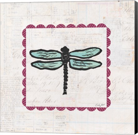 Framed Dragonfly Stamp Bright Print