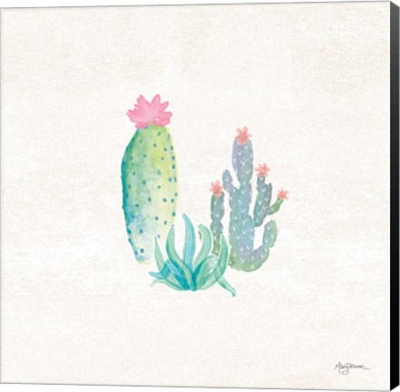 Framed Bohemian Cactus V Print