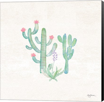 Framed Bohemian Cactus IV Print