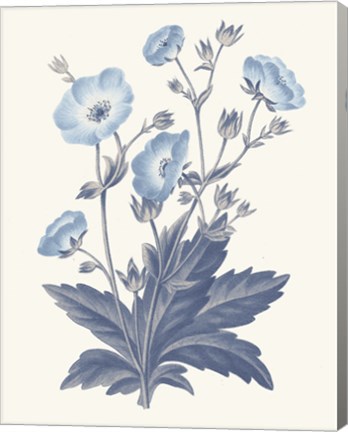 Framed Blue Botanical VI Print