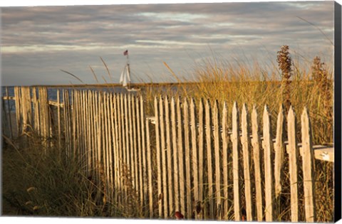 Framed Along the Fence I Print