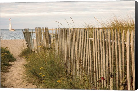 Framed Along the Fence II Print