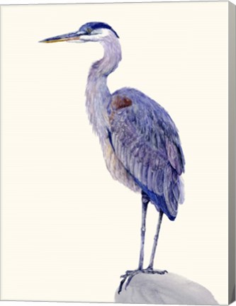 Framed Heron Study I Print