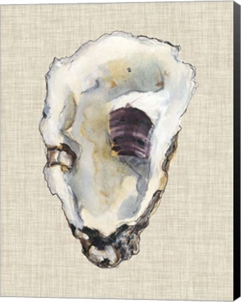 Framed Oyster Shell Study III Print