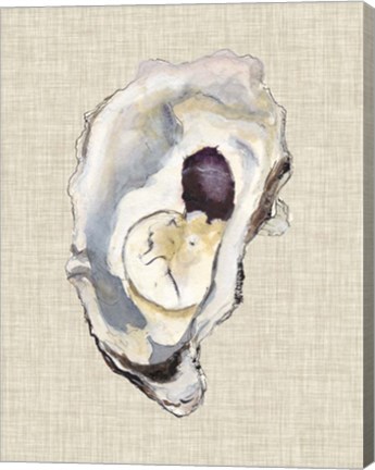 Framed Oyster Shell Study IV Print