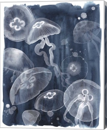 Framed Moon Jellies I Print