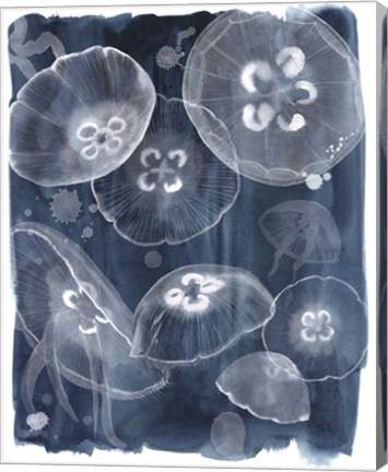 Framed Moon Jellies II Print