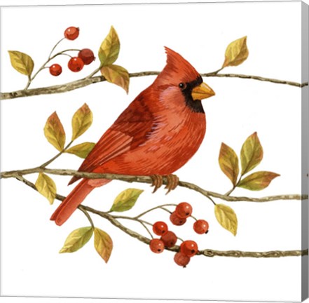 Framed Birds &amp; Berries III Print