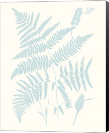 Framed Serene Ferns I Print