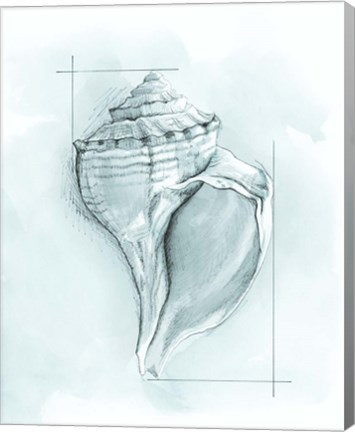 Framed Coastal Shell Schematic I Print