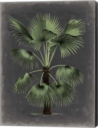 Framed Dramatic Palm II Print