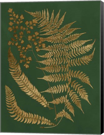 Framed Gilded Ferns I Print