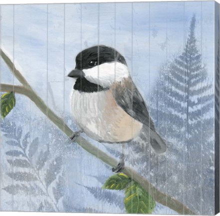 Framed Eastern Songbird II Print